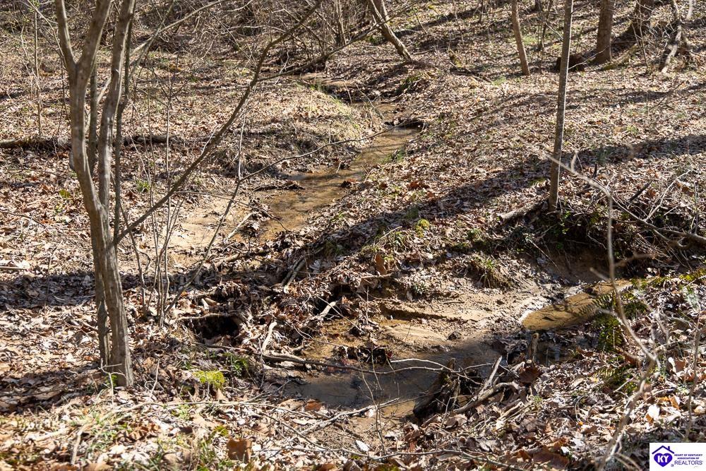 TRACT 2 Jones School Road Mount Sherman, KY 42764 #2