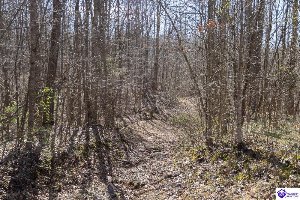 TRACT 2 Jones School Road Mount Sherman, KY 42764 #3