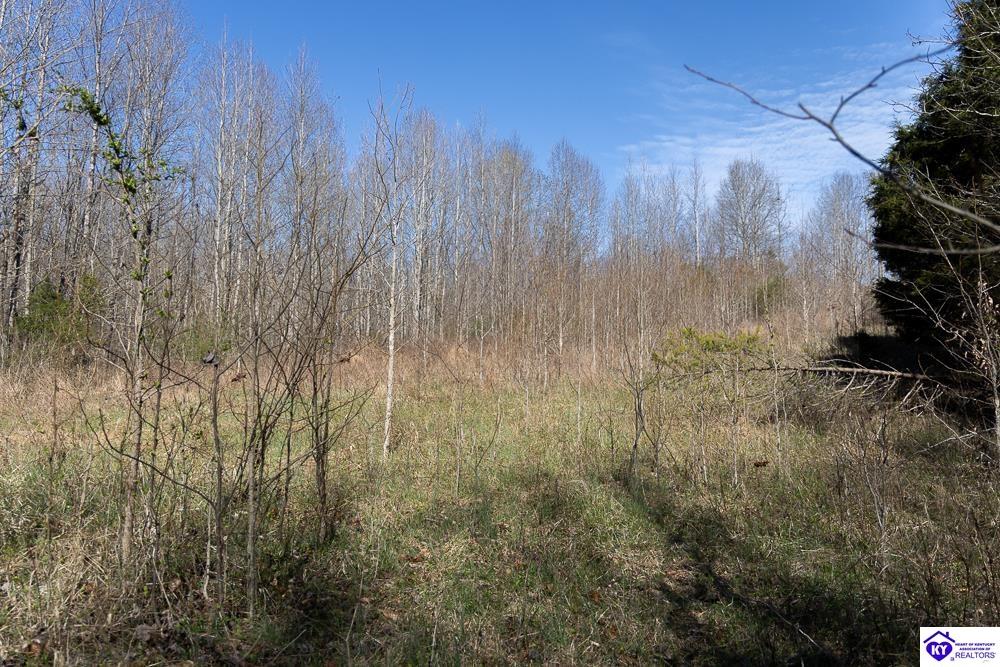 TRACT 2 Jones School Road Mount Sherman, KY 42764 #4