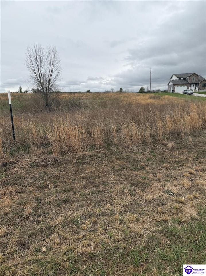 195 Diamond CourtVine Grove,&nbsp;KY&nbsp;40175