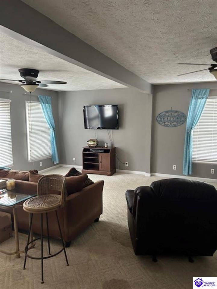641 S Riverbend Road Leitchfield, KY 42754 #1