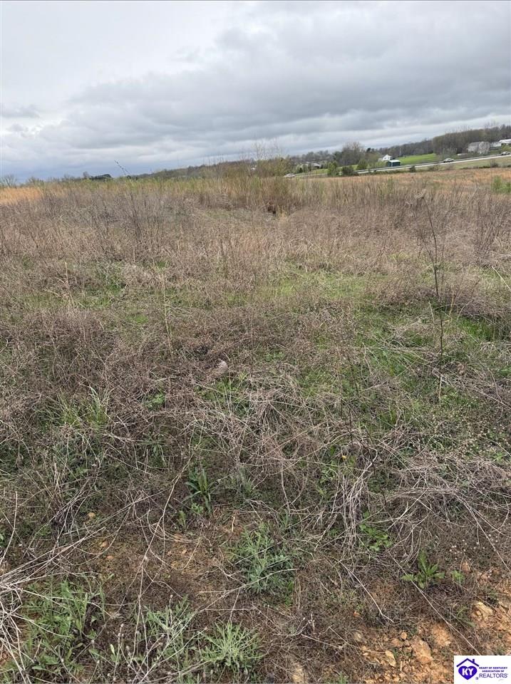 121 Diamond CourtVine Grove,&nbsp;KY&nbsp;40175