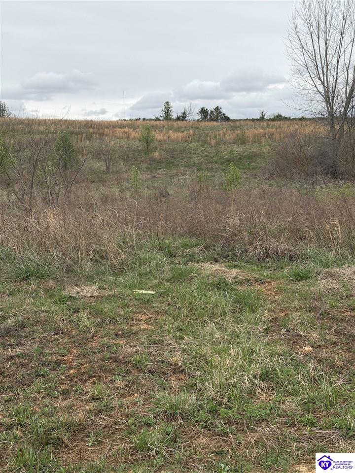 177 Diamond CourtVine Grove,&nbsp;KY&nbsp;40175