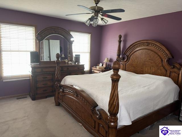 116 Creekview Lane Rineyville, KY 40162 #2