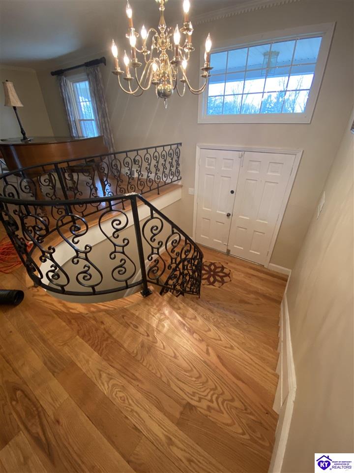 591 Rue La Grande Elizabethtown, KY 42701 #1