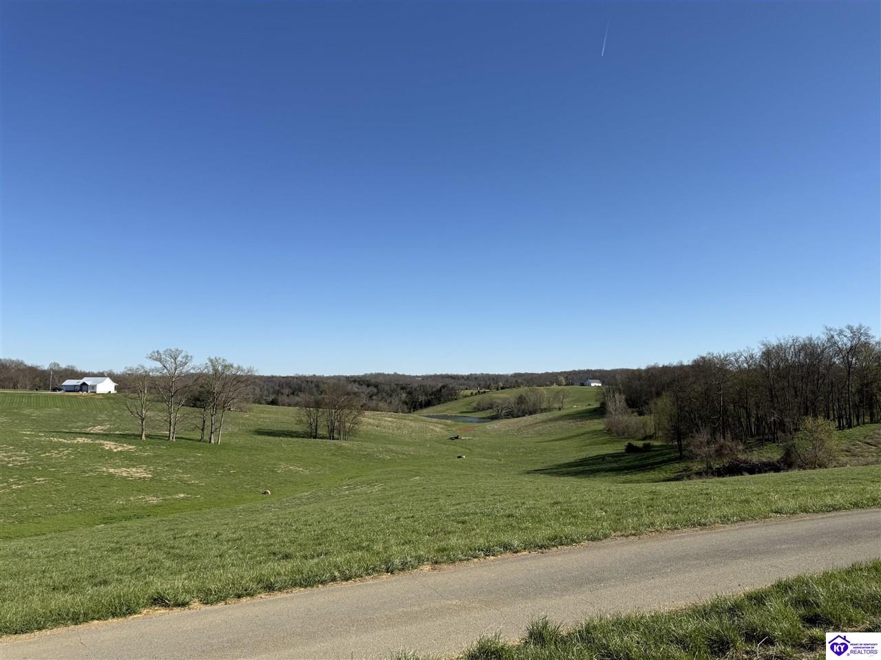 LOT 3 & 4 Willie Nell Road Columbia, KY 42728 #4