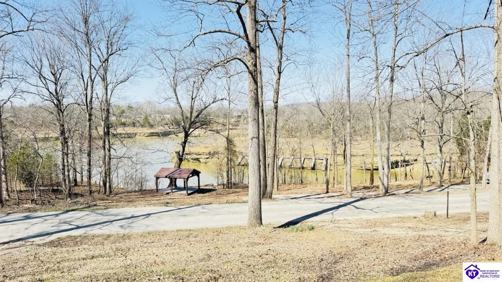 2199 Blue Bird Road Falls Of Rough, KY 40119 #4
