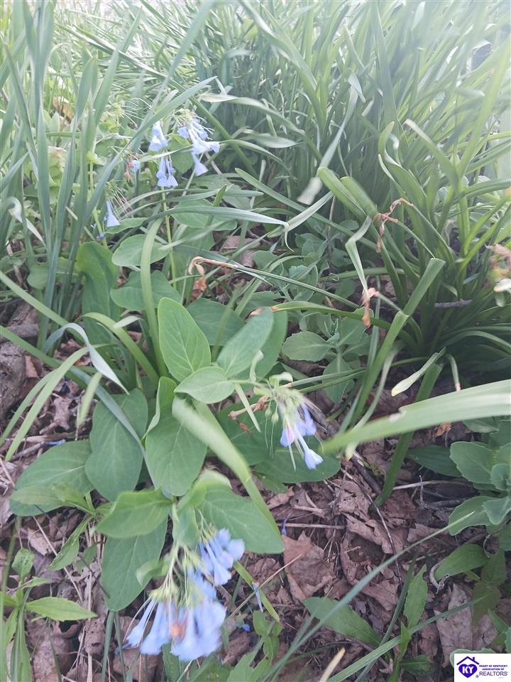 961 Stovall Road Elizabethtown, KY 42701 #2