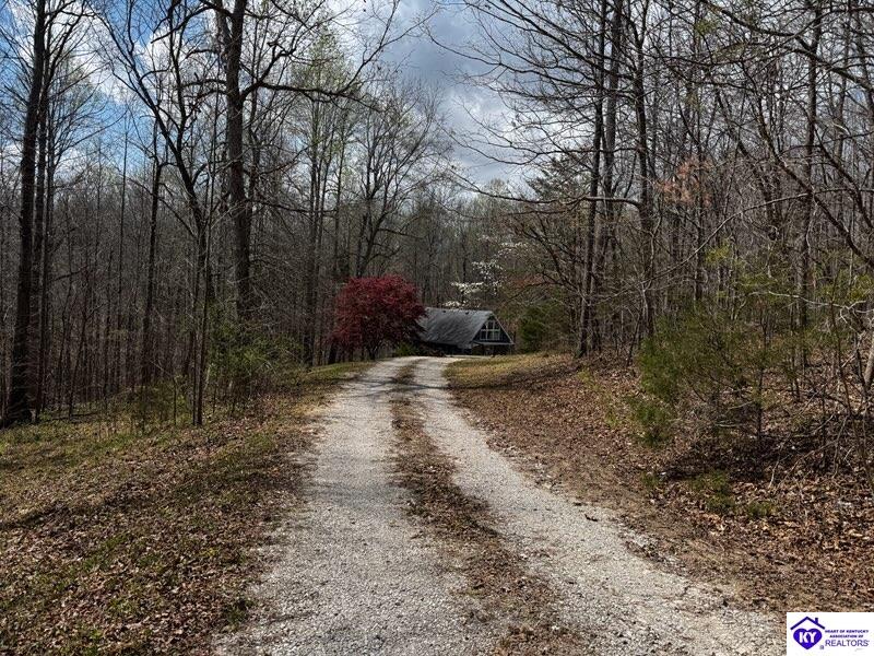 225 Mockingbird LaneBuffalo,&nbsp;KY&nbsp;42716