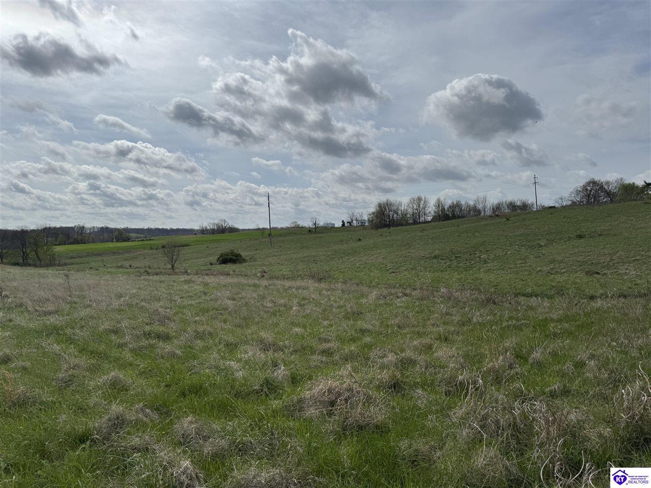 3163 S Highway 105 Hardinsburg, KY 40143 #2