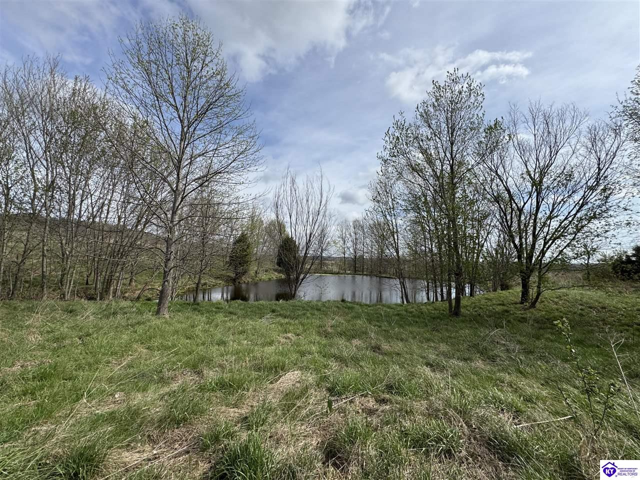 3163 S Highway 105 Hardinsburg, KY 40143 #3