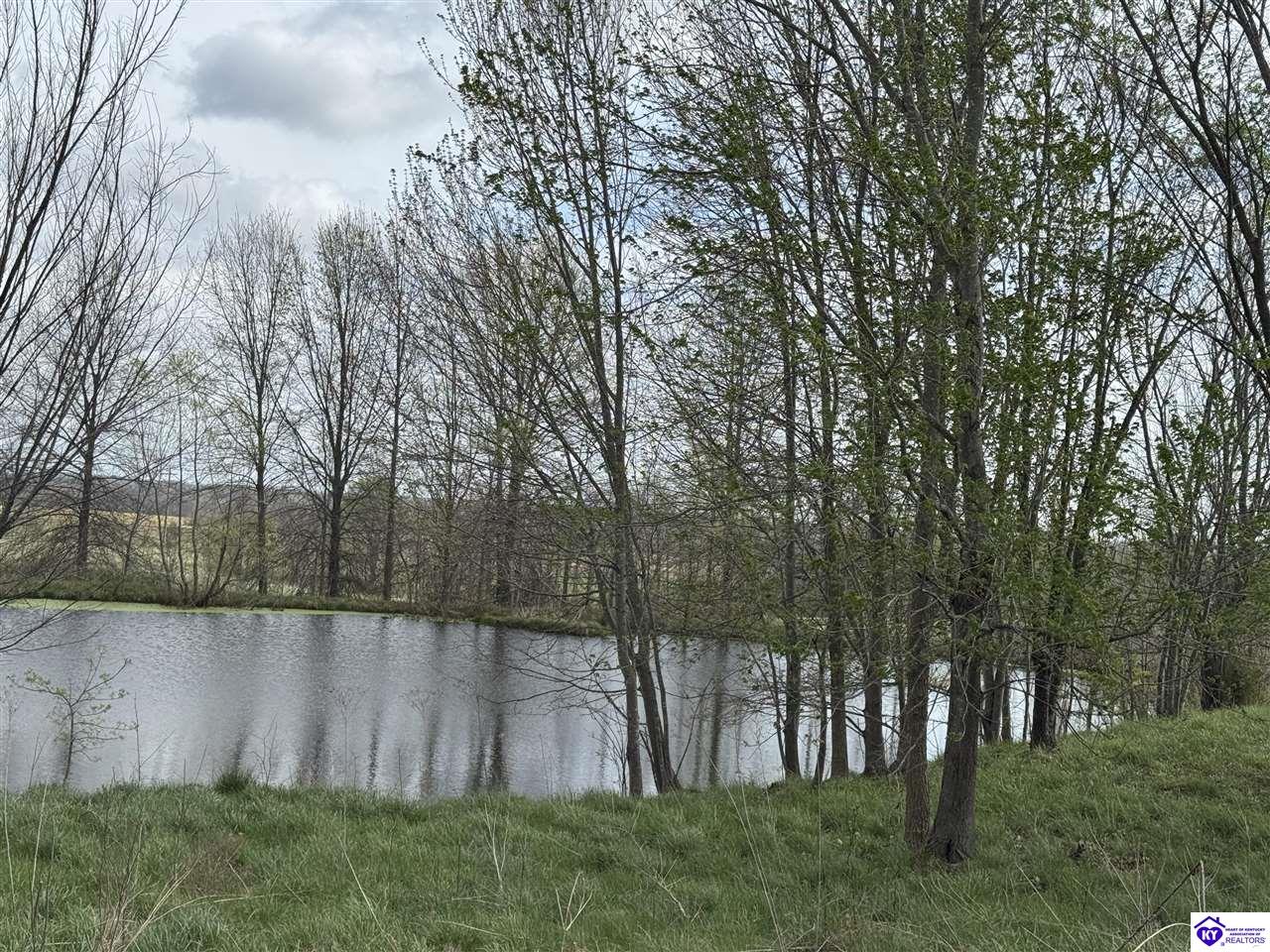 3163 S Highway 105 Hardinsburg, KY 40143 #4