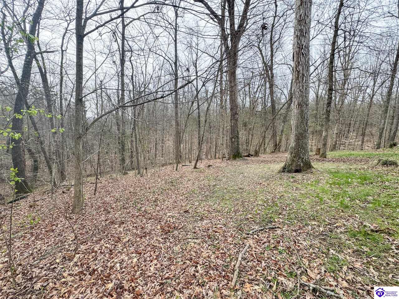 6383 Battle Training Road Elizabethtown, KY 42701 #1