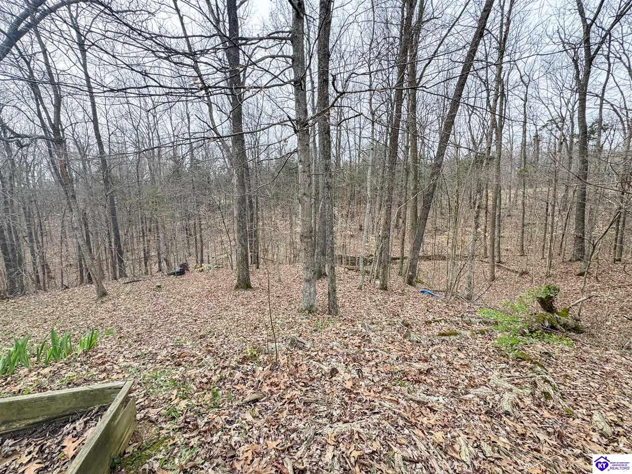 6383 Battle Training Road Elizabethtown, KY 42701 #2