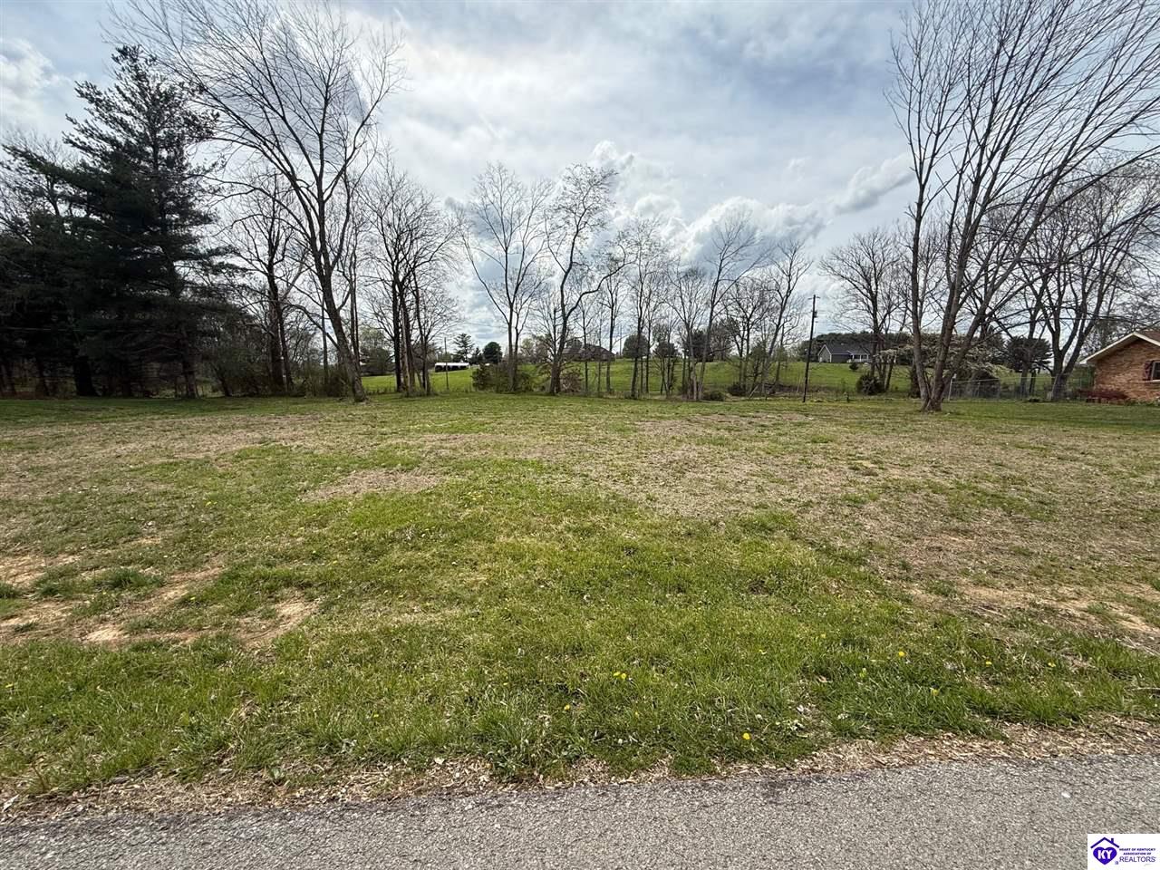 LOT 26 Timothy Trail Campbellsville, KY 42718 #1