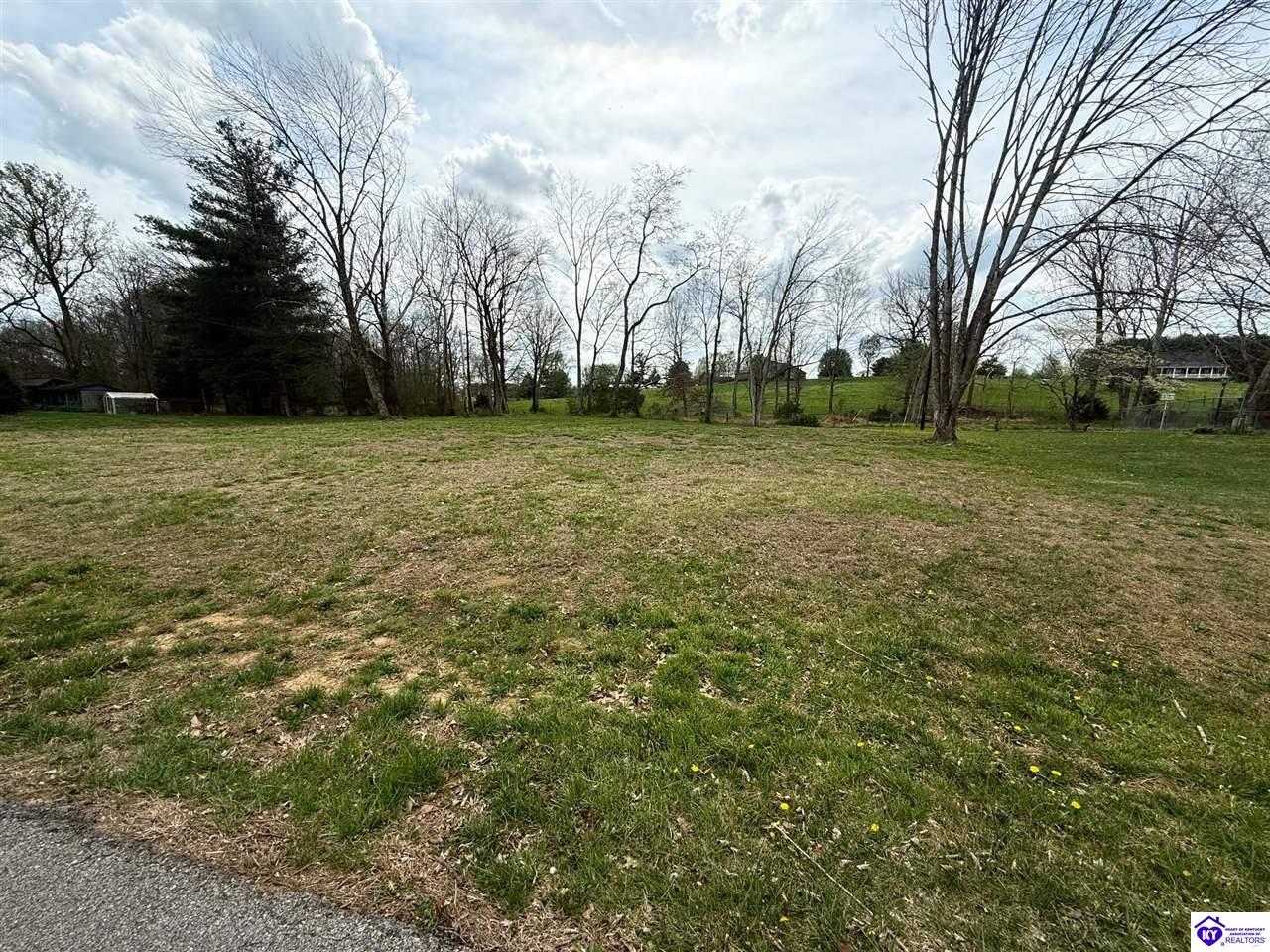 LOT 26 Timothy Trail Campbellsville, KY 42718 #2