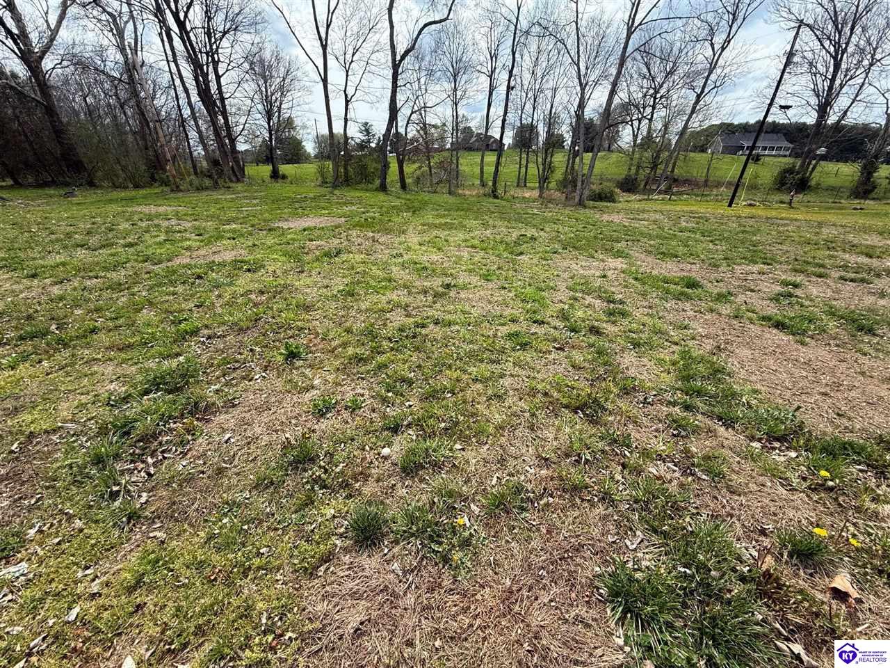 LOT 26 Timothy Trail Campbellsville, KY 42718 #4