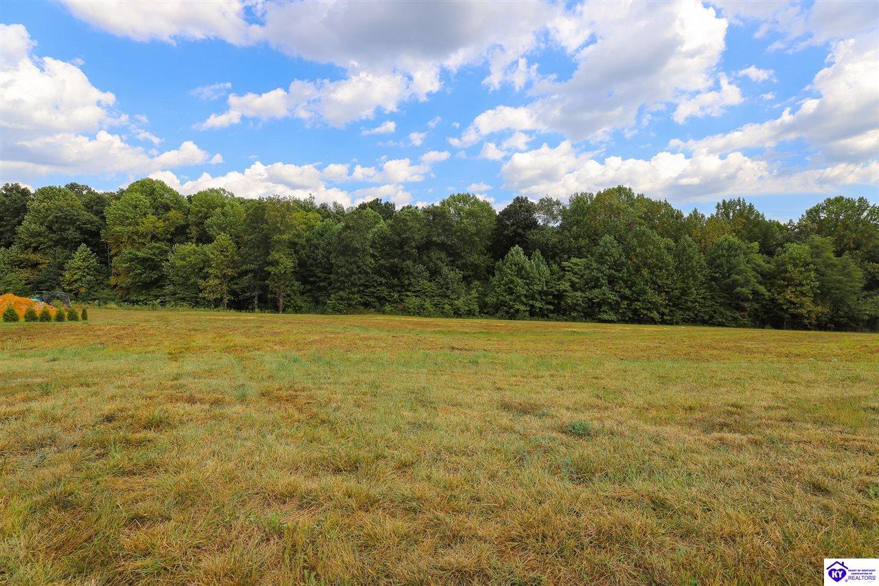 Lot 6 Foxwood CourtElizabethtown,&nbsp;KY&nbsp;42701