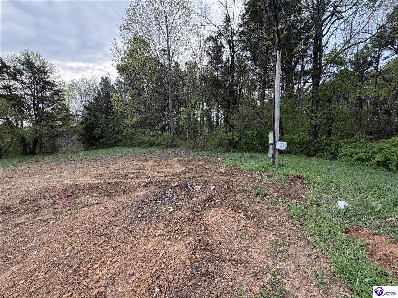 3313 Sportsman Lake Road Elizabethtown, KY 42701 #2