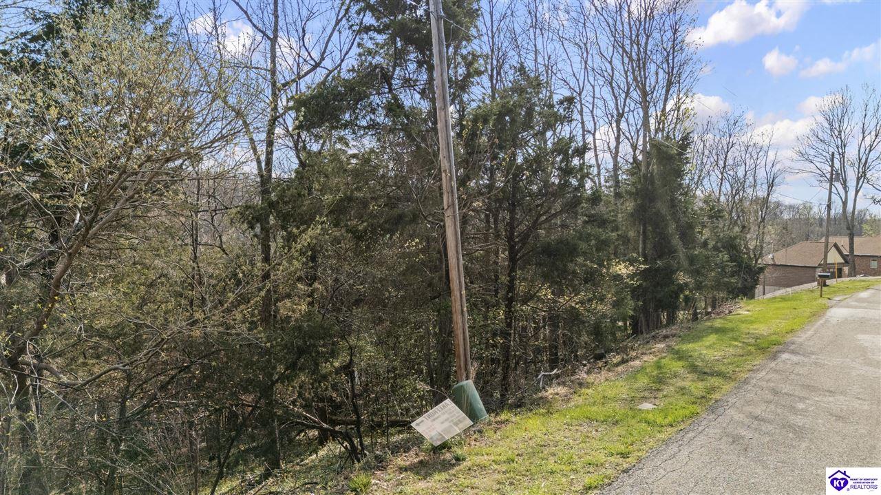 321 Bellemeade Street Brandenburg, KY 40108 #1