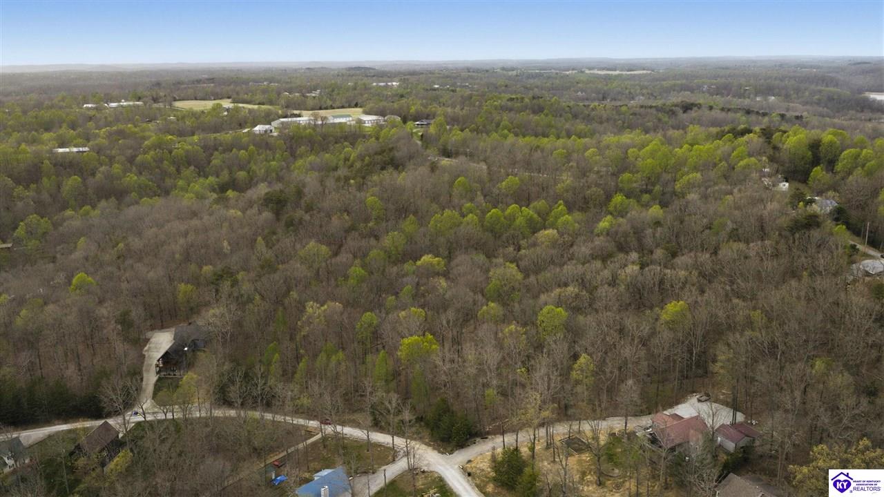 21 & 22 Cedar Point Road Bee Spring, KY 42207 #2