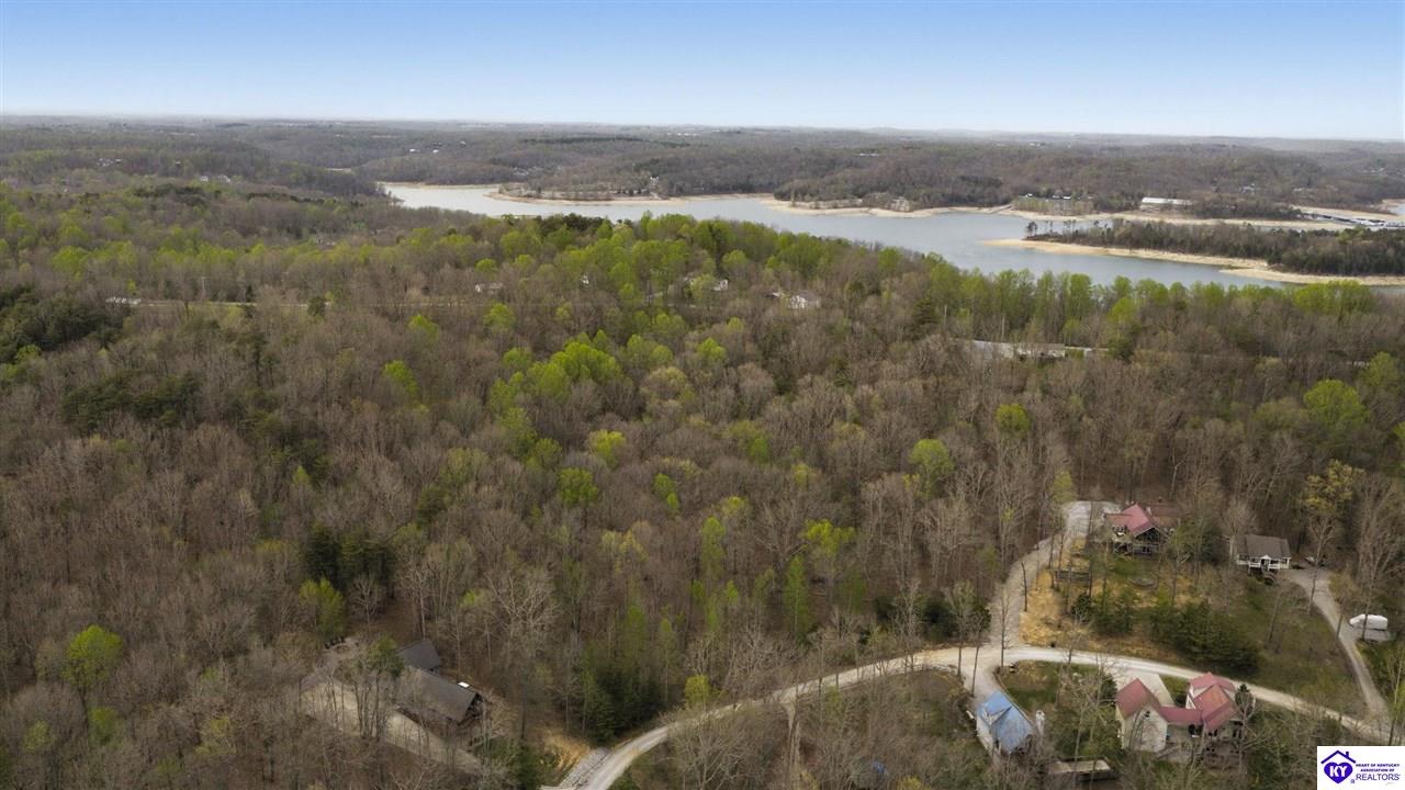 21 & 22 Cedar Point Road Bee Spring, KY 42207 #3