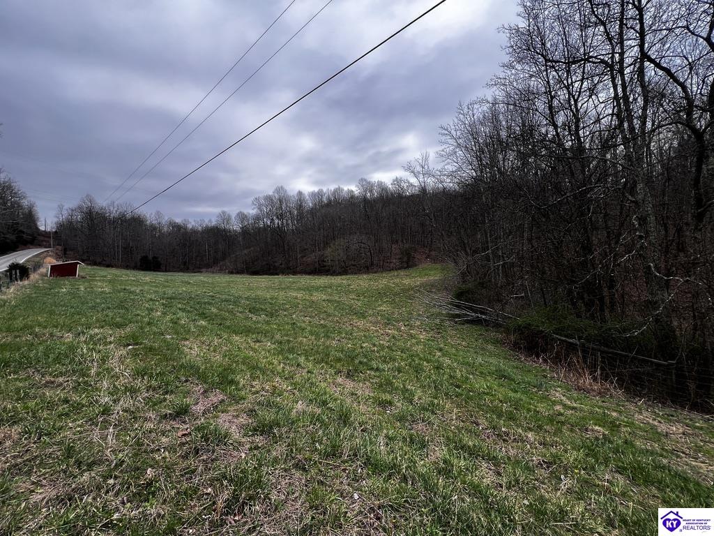 4325 Boiling Springs Road Munfordville, KY 42765 #2