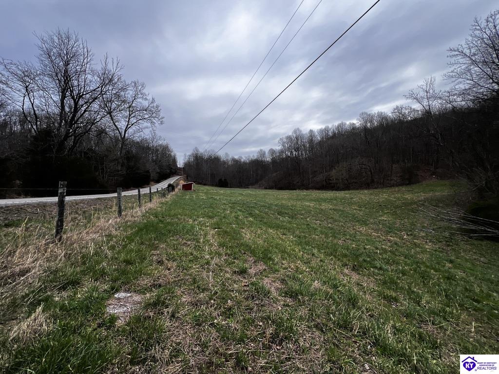 4325 Boiling Springs Road Munfordville, KY 42765 #3