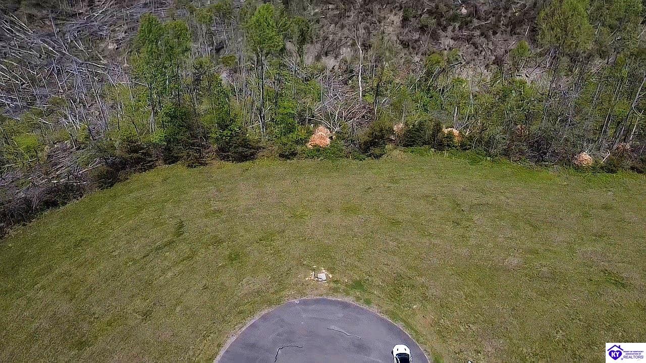 Lot 160 & 161 Douglas Drive Russell Springs, KY 42642 #2