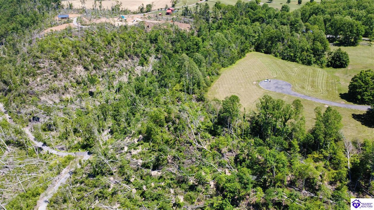 Lot 160 & 161 Douglas Drive Russell Springs, KY 42642 #2