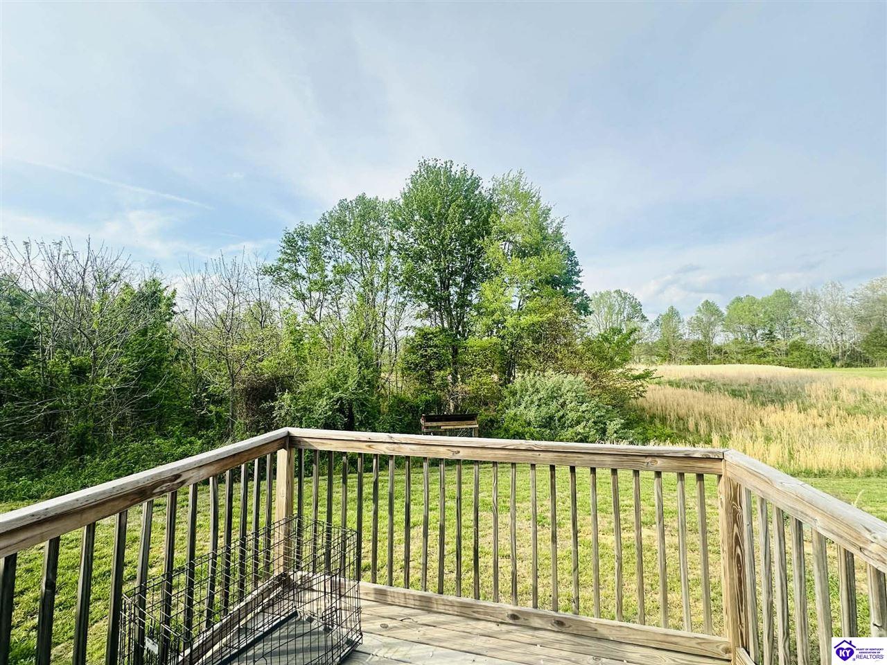 620 Morgan Road Payneville, KY 40157 #3