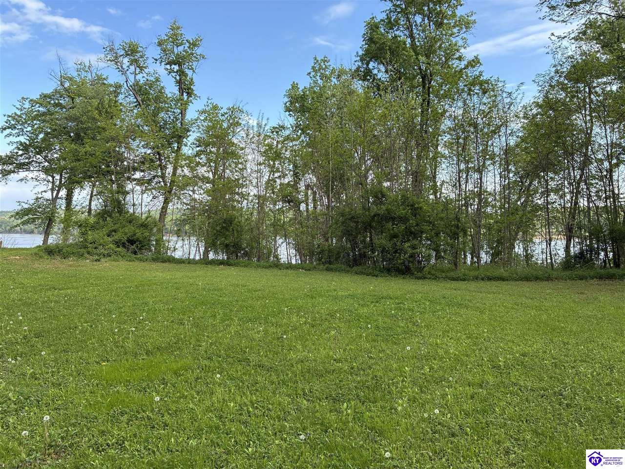 0 River Bluff Beach Road Brandenburg, KY 40108 #1