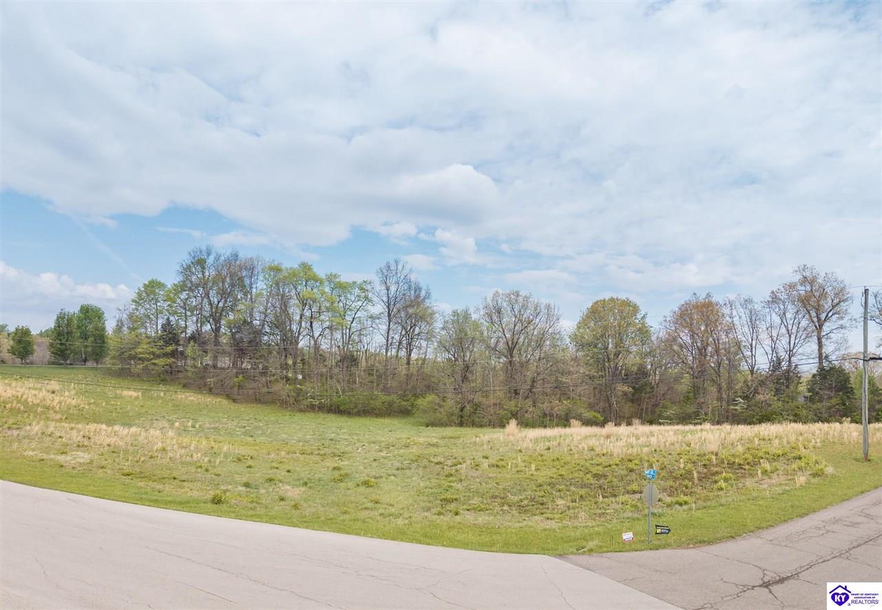 0 Mayer Lane Elizabethtown, KY 42701 #1