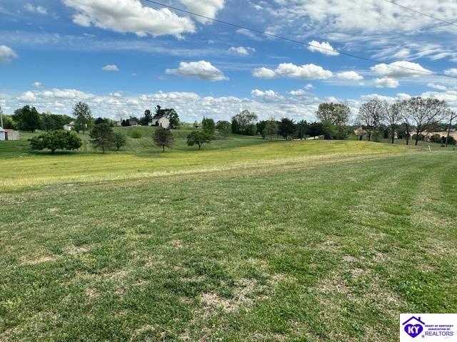 368 County Pond Road Vine Grove, KY 40175 #3