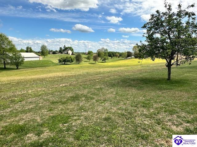 368 County Pond Road Vine Grove, KY 40175 #4