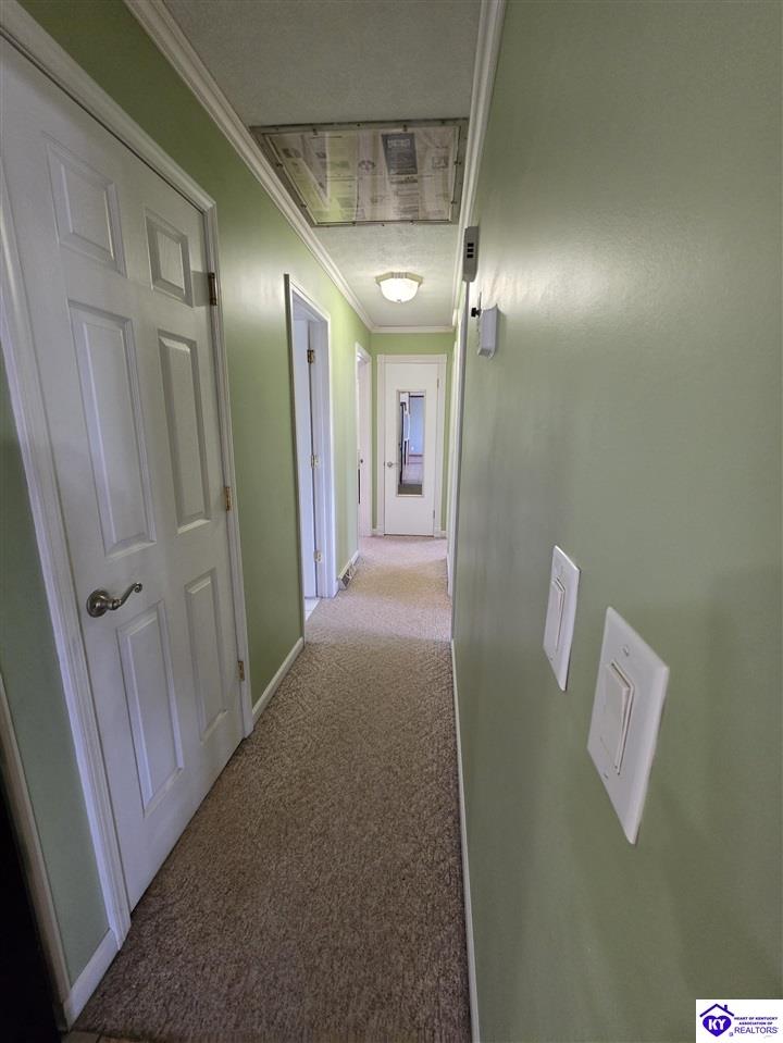 1088 Knifley Road Campbellsville, KY 42718 #3