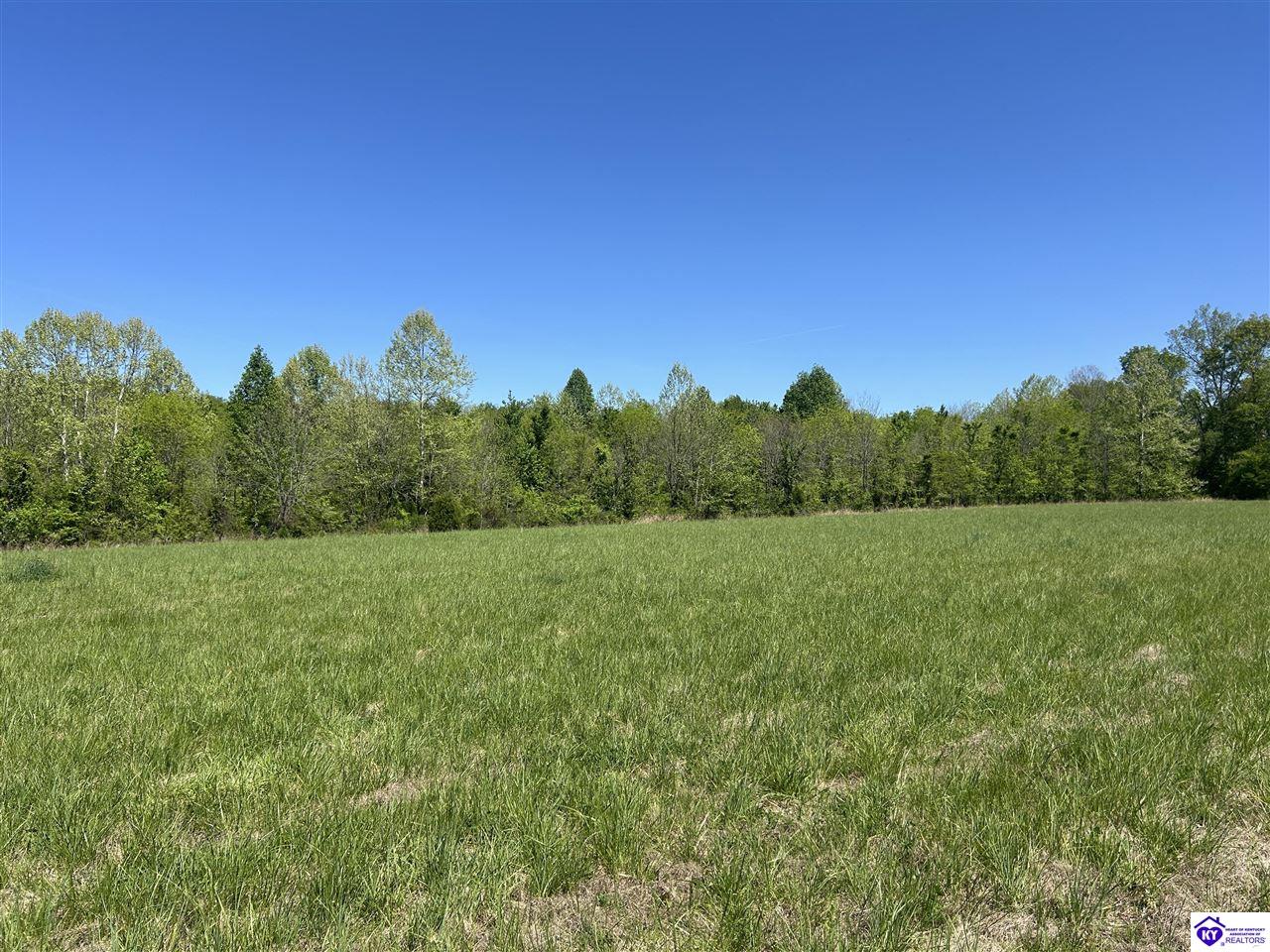 Post Tousey Road Caneyville, KY 42721 #1