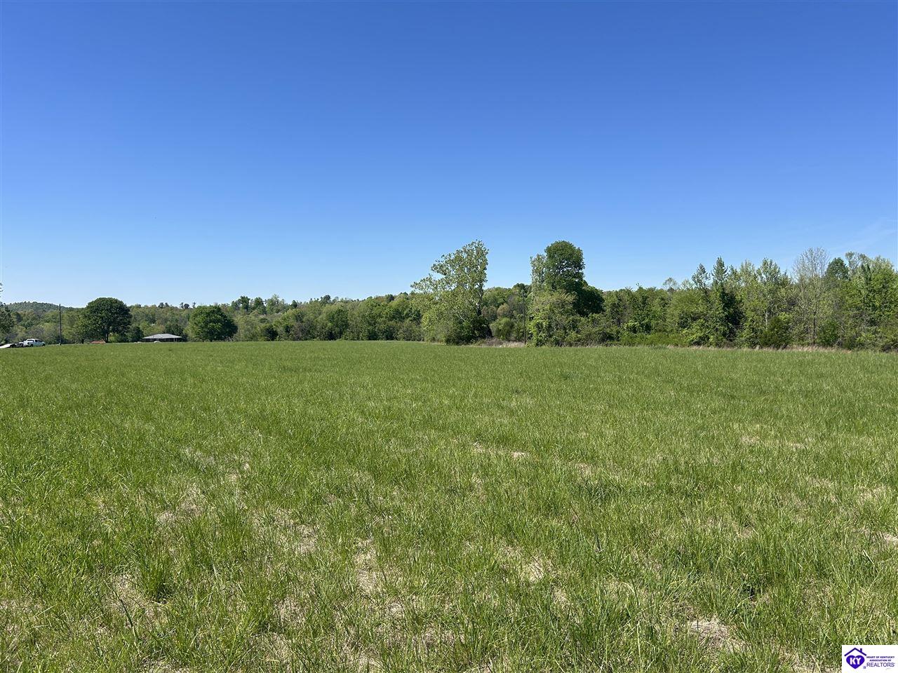 Post Tousey Road Caneyville, KY 42721 #2