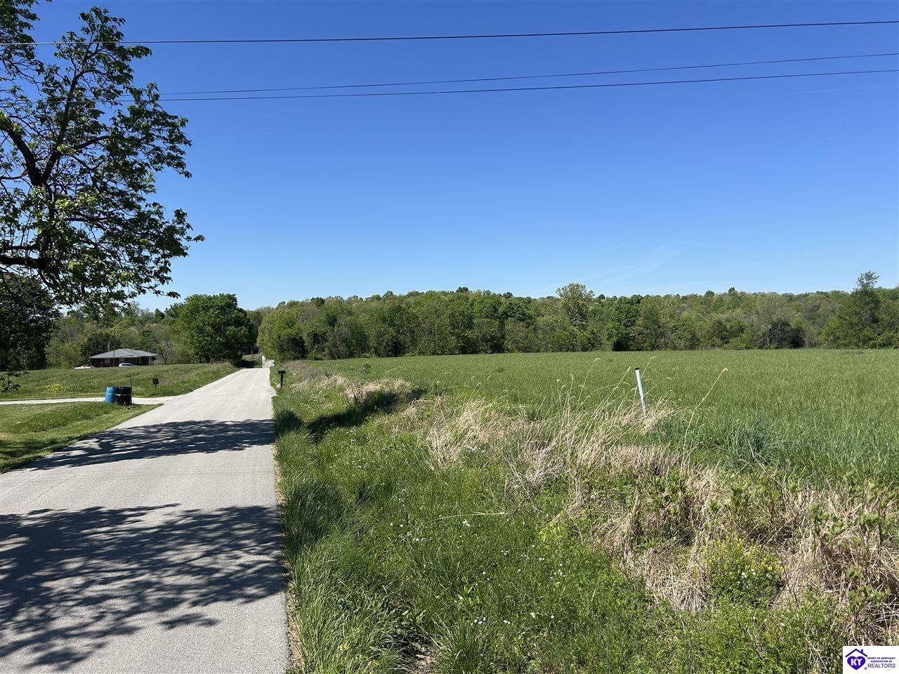 Post Tousey Road Caneyville, KY 42721 #2