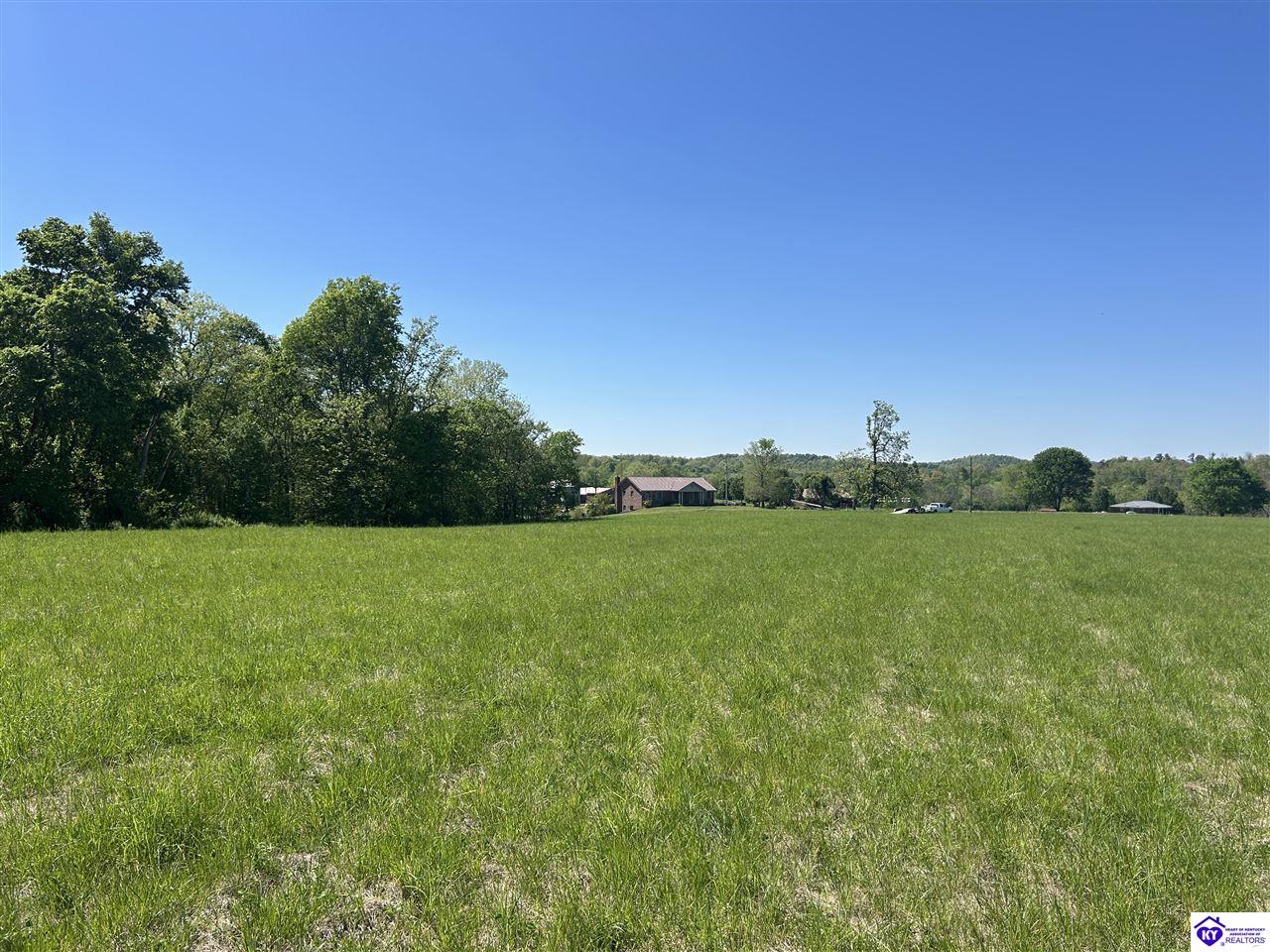 Post Tousey Road Caneyville, KY 42721 #3