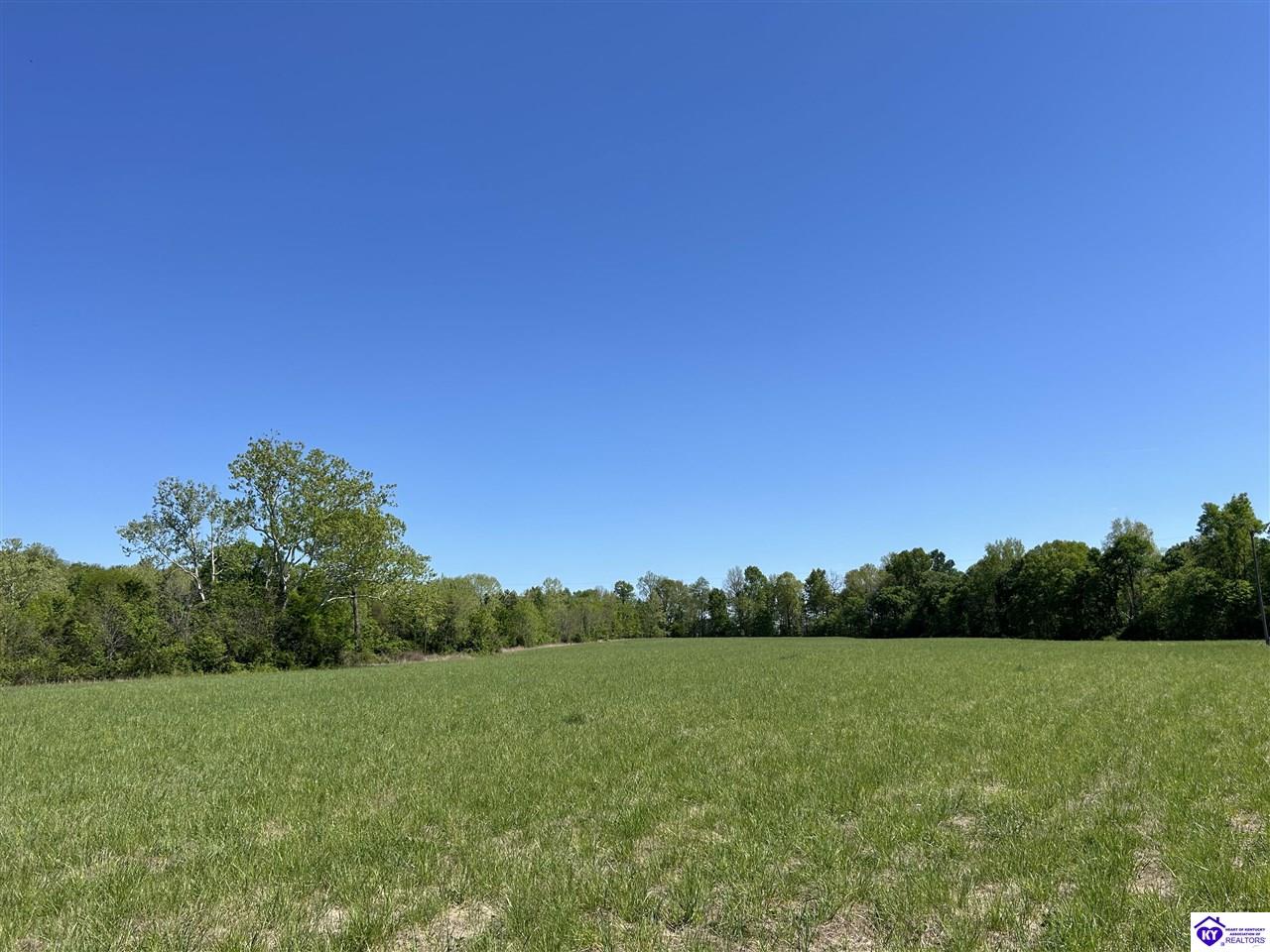 Post Tousey Road Caneyville, KY 42721 #3