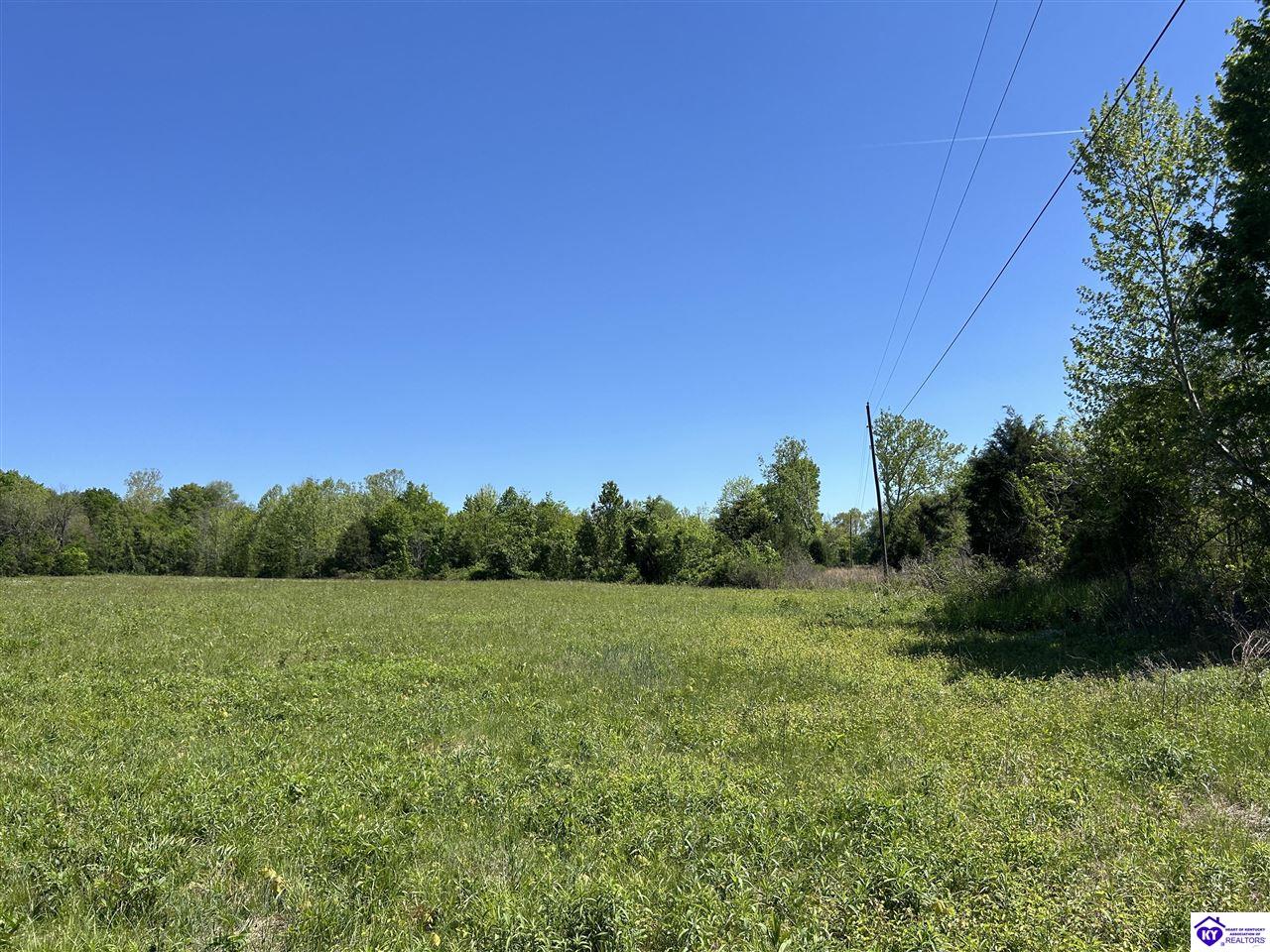 Post Tousey Road Caneyville, KY 42721 #4