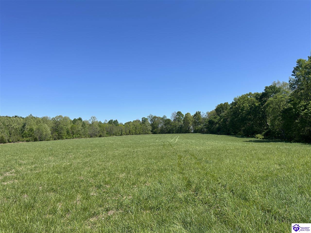 Post Tousey Road Caneyville, KY 42721 #4