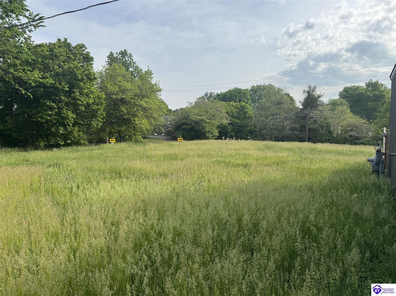 214 E Main Street Cloverport, KY 40111 #4