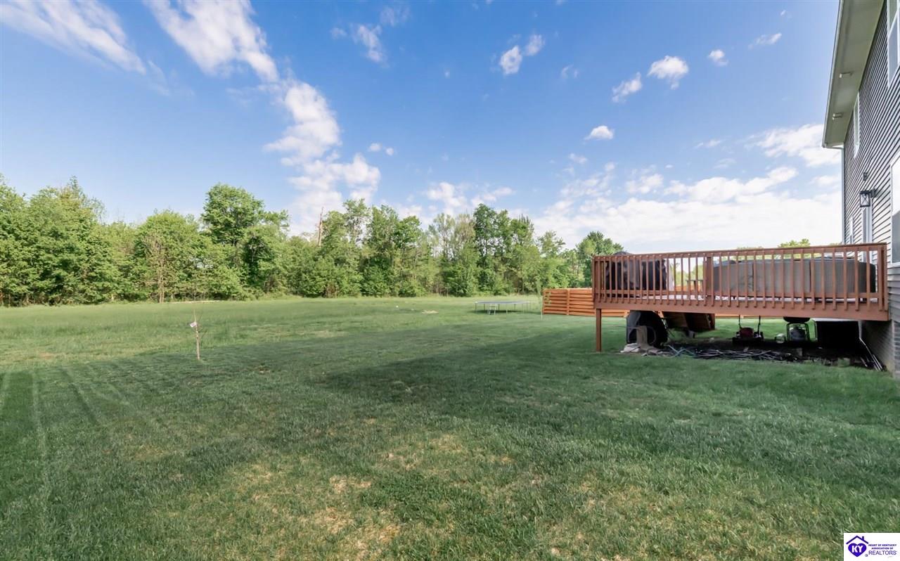 117 Mt Carmel Boulevard Rineyville, KY 40162 #3