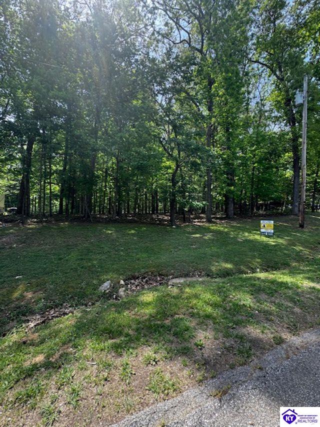 Lot 49 Bluebird Road Brandenburg, KY 40108 #1