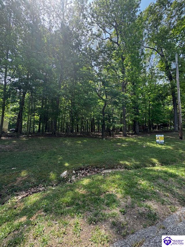 Lot 49 Bluebird Road Brandenburg, KY 40108 #2