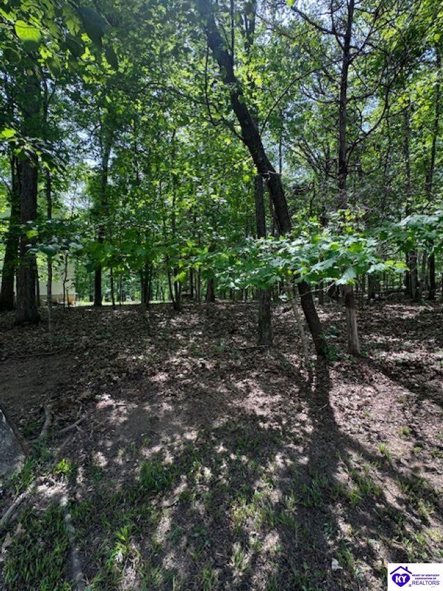 Lot 49 Bluebird Road Brandenburg, KY 40108 #3