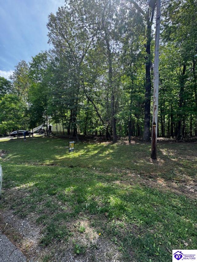 Lot 49 Bluebird Road Brandenburg, KY 40108 #4