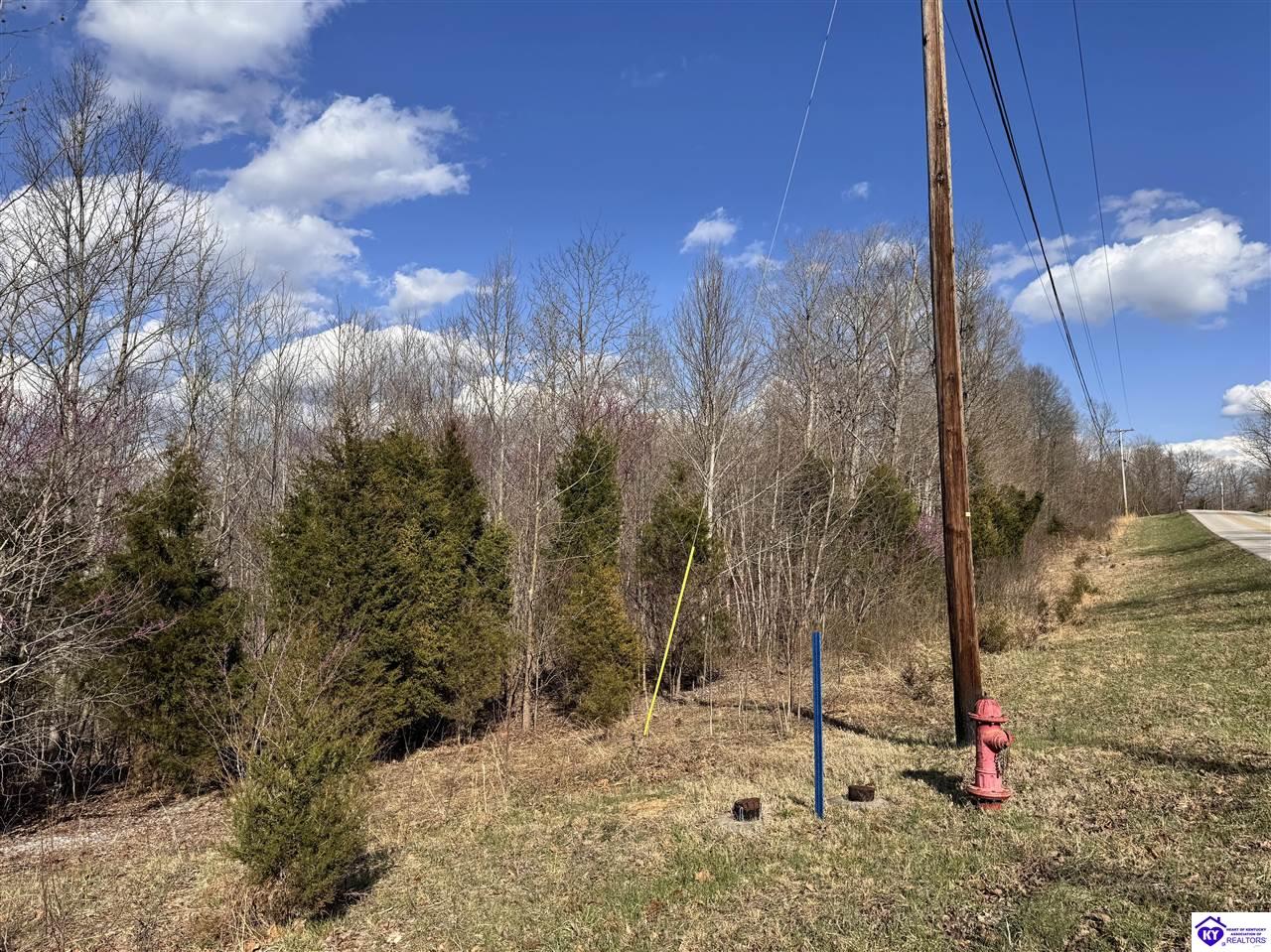 0 Cedar Flat Road Battletown, KY 40104 #2